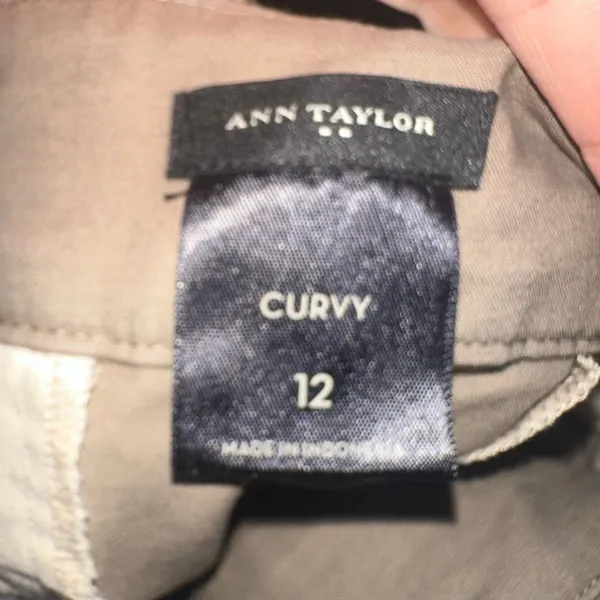 Ann Taylor tan curvy12 business casual normcore pants - Image 3