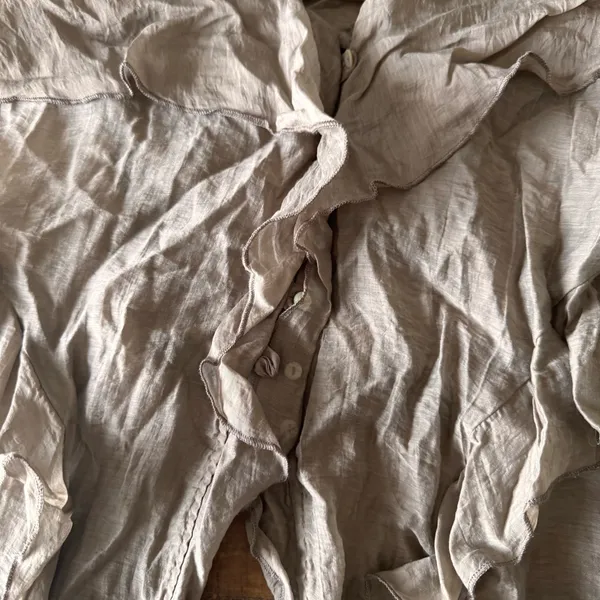 ZARA Sheer Ruffled‎ Cami - Image 3