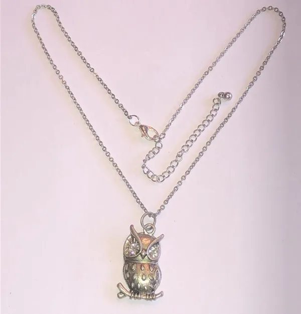 Silver Tone CZ Rhinestone Owl Pendant Dainty Boho Necklace - Image 2