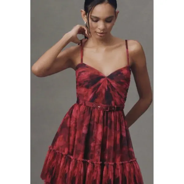 Hutch Madelina Pleated Tulle Tiered Maxi Dress Size 6 $398 NWT - Image 3
