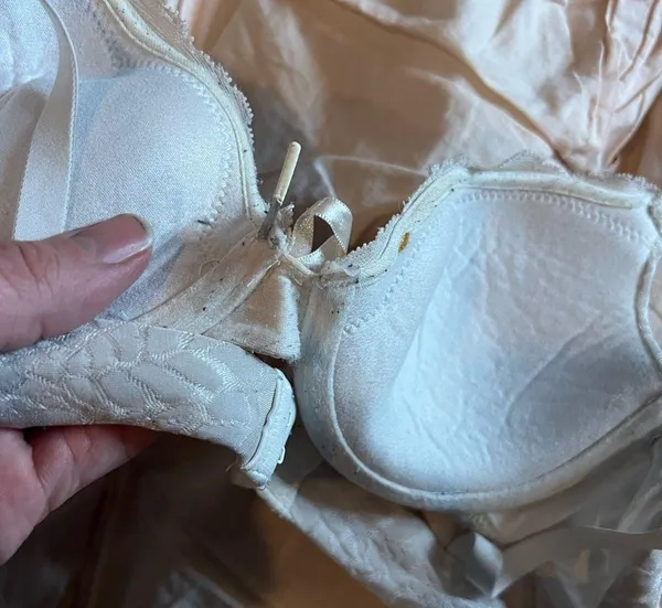 36B Creme silk leopard print bra Size undefined - Image 4