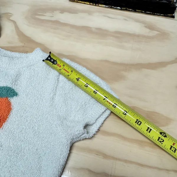 Cider Georgia Peach Cropped Fuzzy Tee Small Baby Tee Streetwear‎ Off White - Image 11