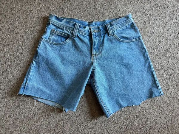 John Galt Denim Jorts - Image 4