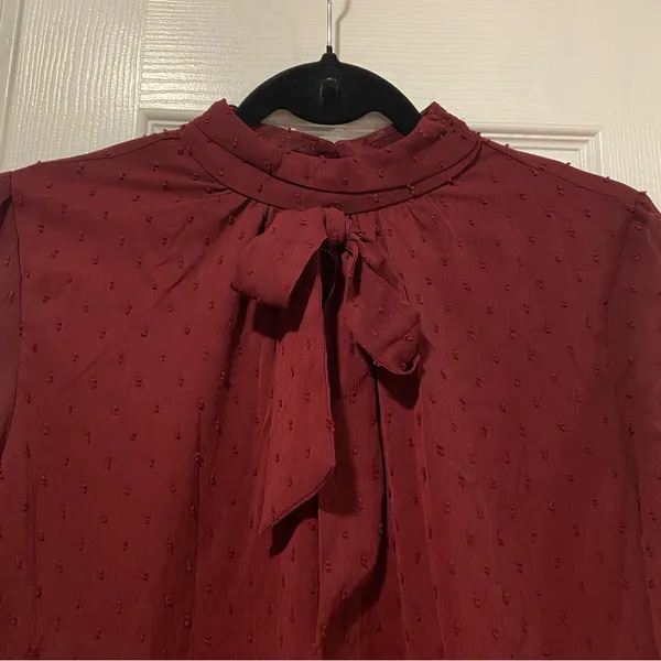 NWT Aconiya Size M Burgundy Swiss Dot Chiffon Lined High Neck Bow Lined Top - Image 2