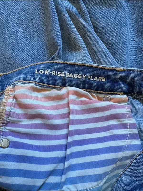 American Eagle Strigid Low Rise Baggy Flare Distressed Jeans Rainbow Size 10 - Image 12