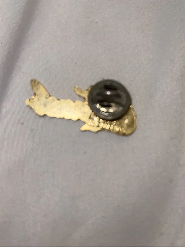 Colorado Script Enamel Pin in Navy and Gold - Image 2