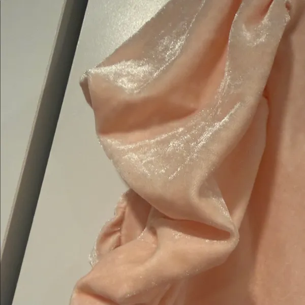 Free People Terese Blush‎ Ruffled velvet Blouse medium NWT - Image 8