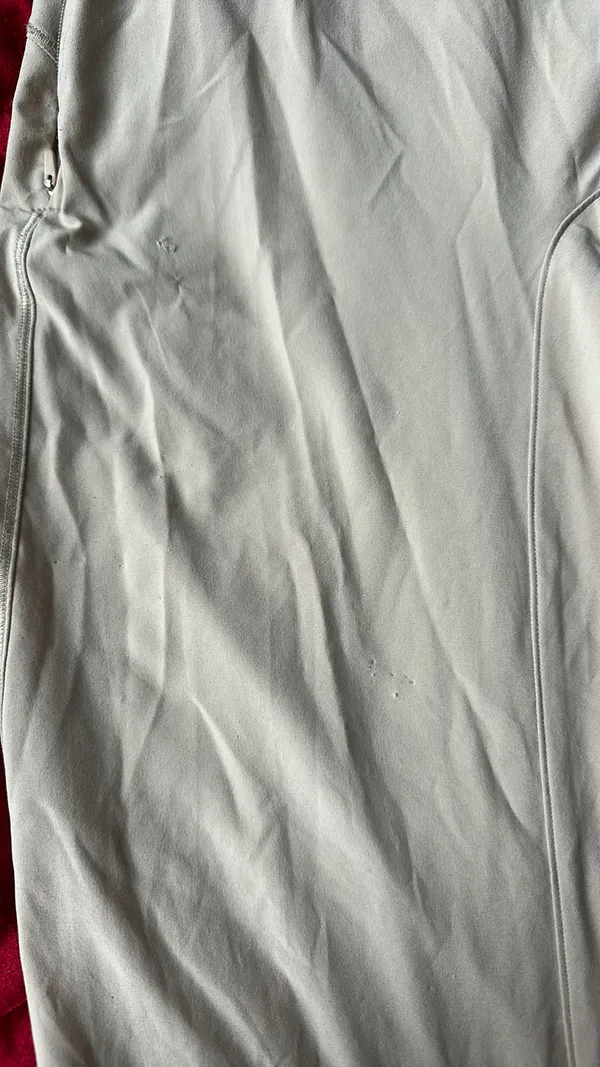 Lululemon Joggers - Image 4