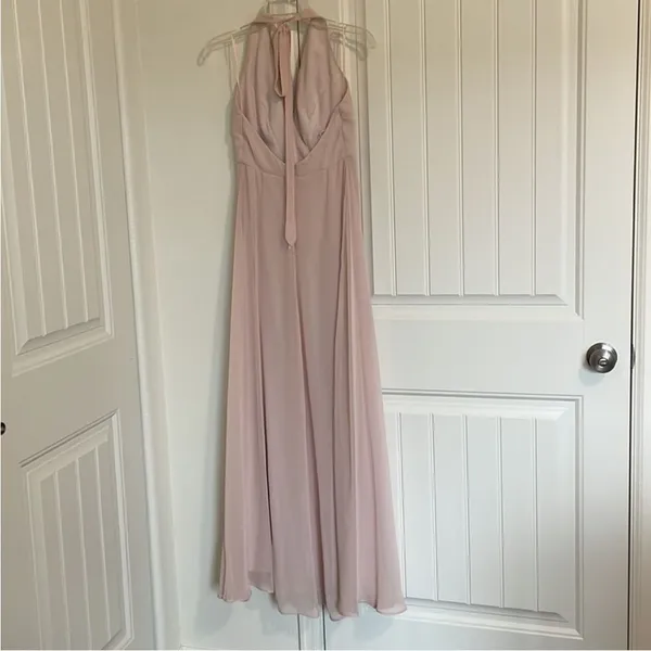 BirdyGrey Moni Convertible - Pale Blush large‎ - Image 9