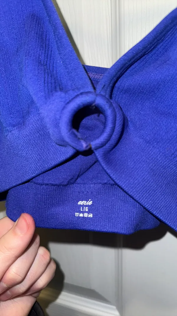 Aerie Purple-Blue Bra-Top L - Image 3