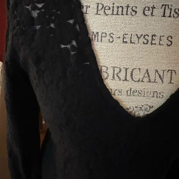 Wild Fable Black Lace Skater style Dress - Image 7