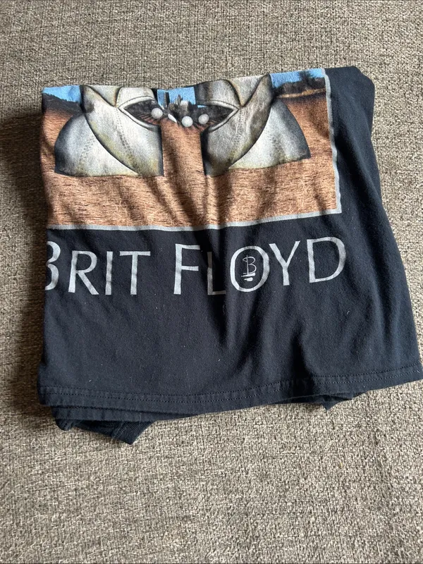 Vintage Gildan Black Brit Floyd Graphic Tee with Blue and Tan Artwork | Large - Image 8