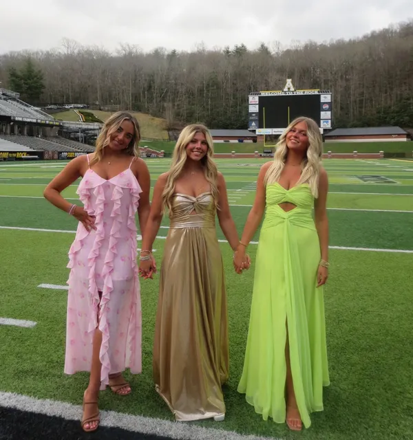 Likely Gown - Image 3