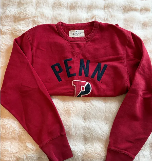 American Eagle University of Pennsylvania Crewneck - Image 3