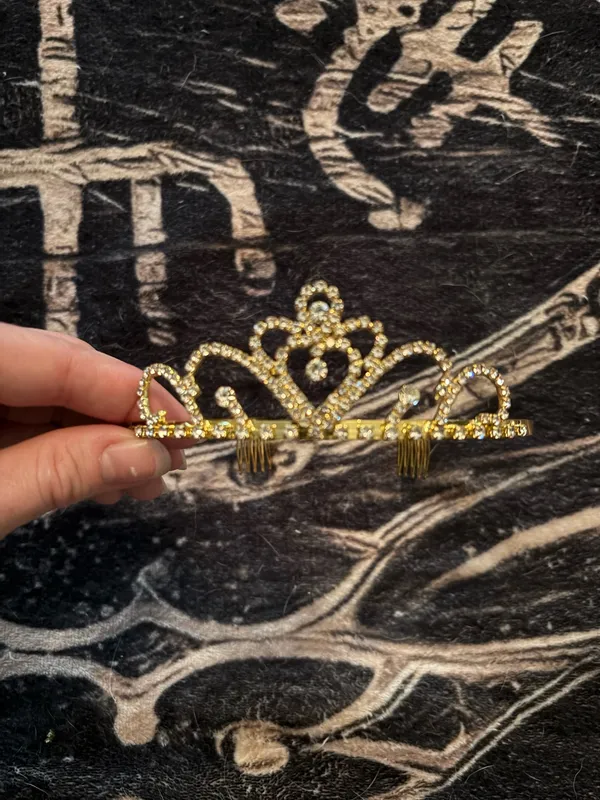 Princess Tiara Gold Size undefined - Image 2