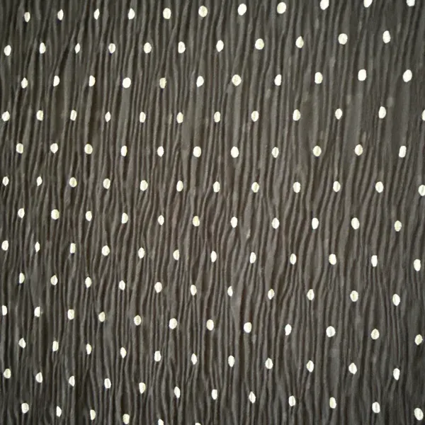 Princess Polly Lioness Haven noir black polka dot sheer maxi dress - Image 4