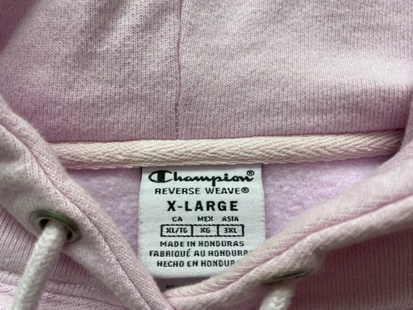 Champion Hoodie - Image 5