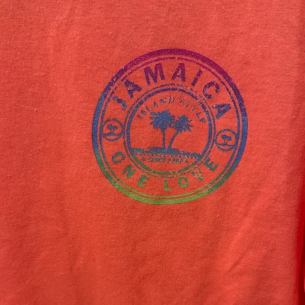 Coral Long Sleeve Pink Pineapple Tee Size Large - Image 2