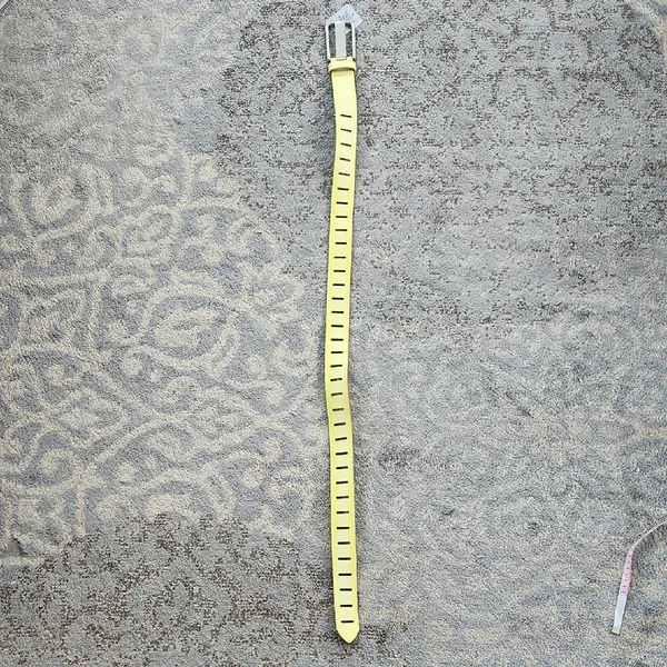 Free People We The Free Jona Belt Yellow Ombre - Image 2