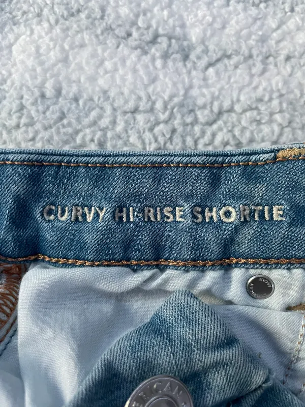 American Eagle Curvy High Rose Shortie - Image 5