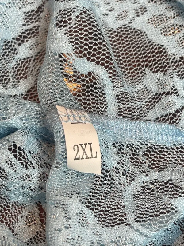 Y2K Baby Blue Sheer Floral Lace Mesh Long Sleeve Top Plus Size 2XL Fairycore - Image 7