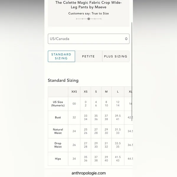 Anthropologie Maeve The Colette mislabeled size - Image 10