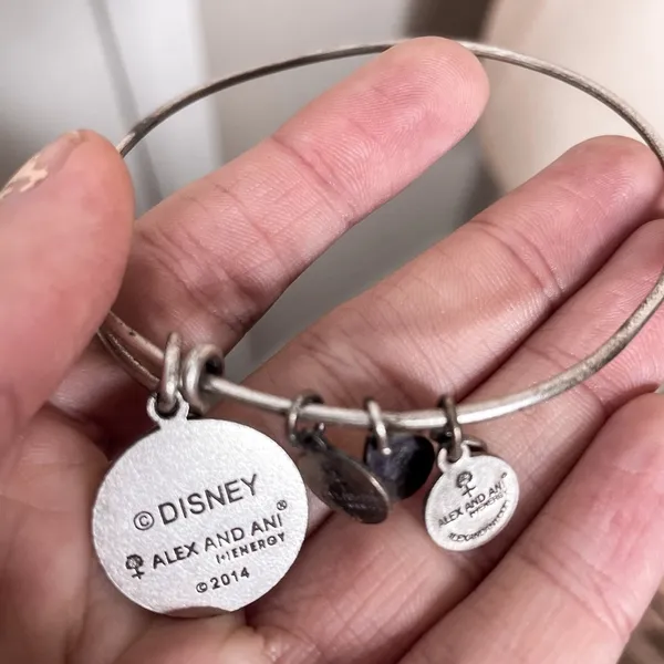 Alex and Ani Walt Disney world silver bangle - Image 2