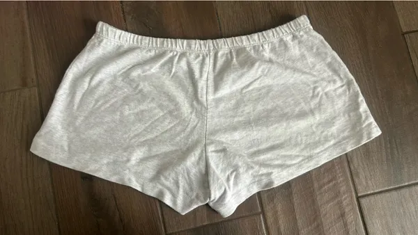 Brandy Melville Grey Shorts - Image 3