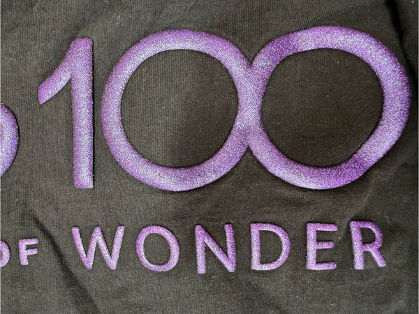 Disney‎ Parks Disneyland Disney 100 Platinum Fireworks Spirit Jersey XL - Image 8