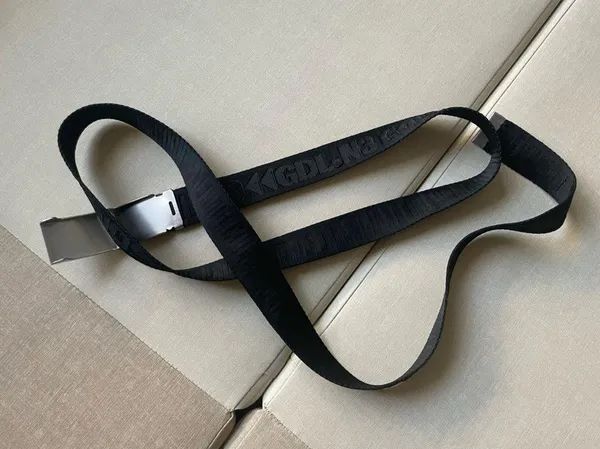 Aritzia Golden TNA Belt - Image 9