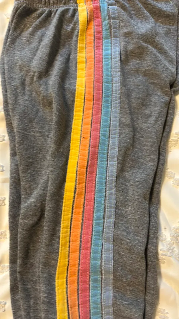 Aviator Nation Sweatpants - Image 3