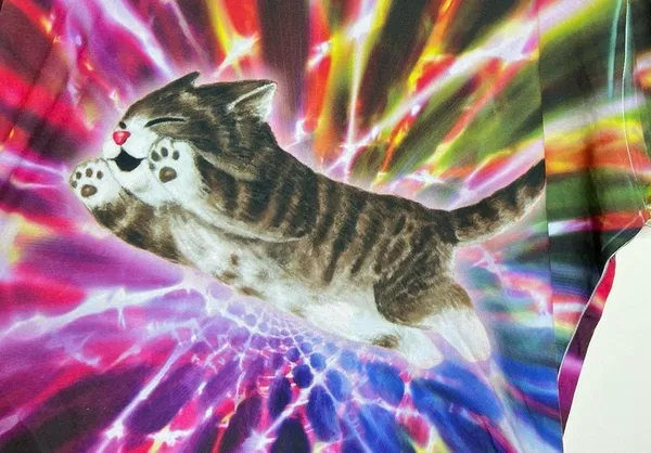 Animal rescue Flying Cat Kitty Portal Galaxy Colorful T Shirt Women’s Size XL - Image 2