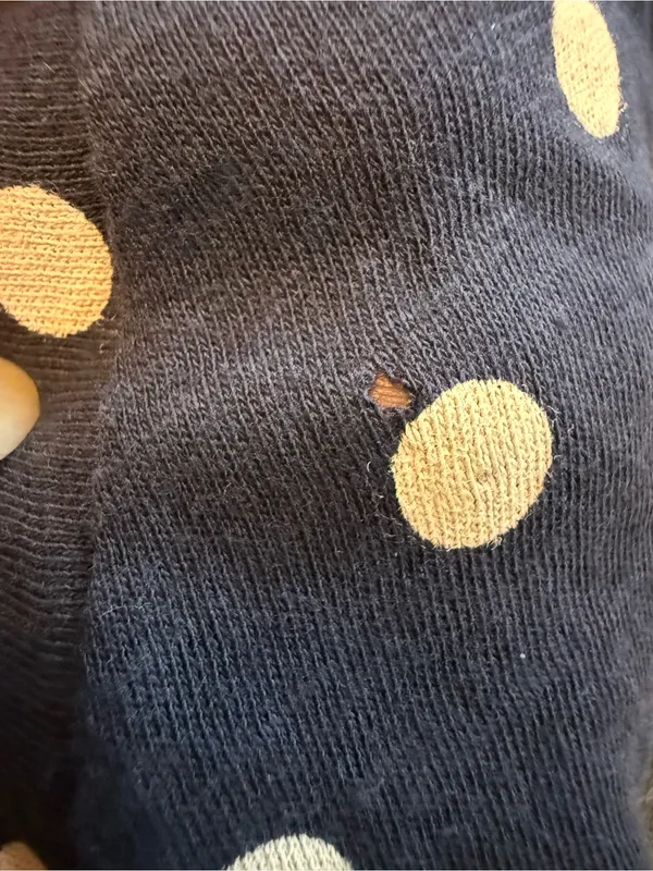 JCrew Size M Women's Navy Polka Dot Short Sleeve Tee NWT - Image 5