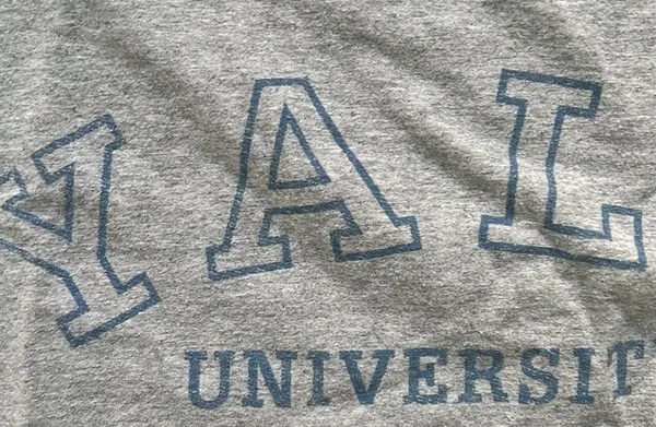 Yale University Crop Tee Medium Large Gray - Image 4