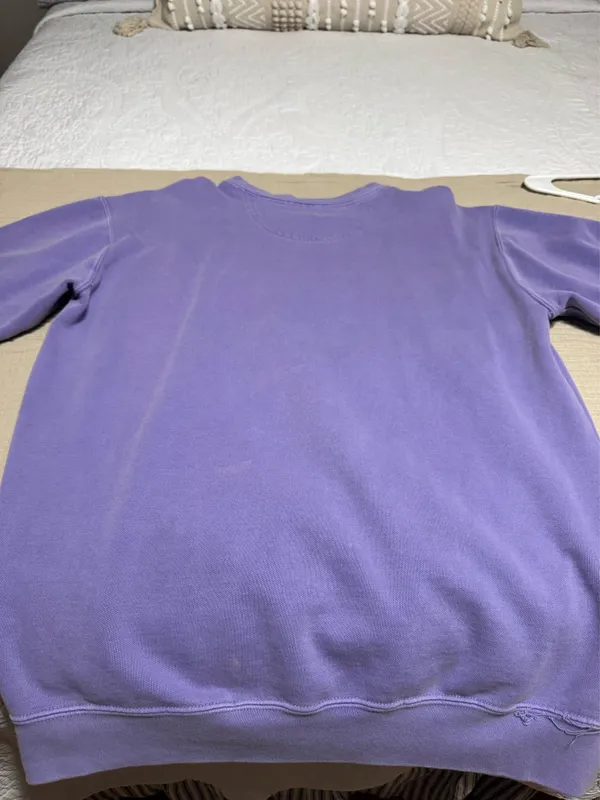 Edisto comfort colors crewneck - Image 4