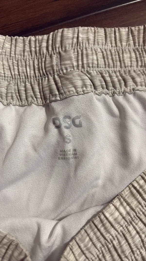 DSG Shorts Gray - Image 2