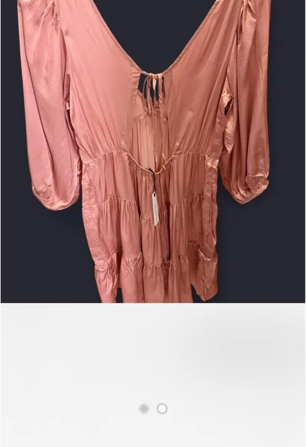 Olivaceous Pink champagne dress - Image 2