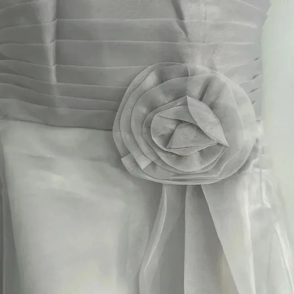 Source Unknown Silver Chiffon Mini Party‎ Dress - Image 5
