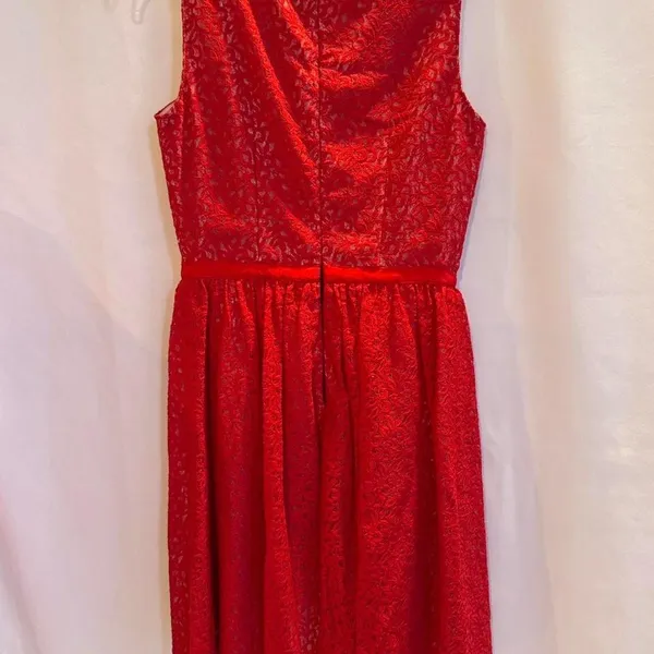 Erin Fetherstone‎ NWT Red Lace Dress with zipper back Women Size 2 - Image 2