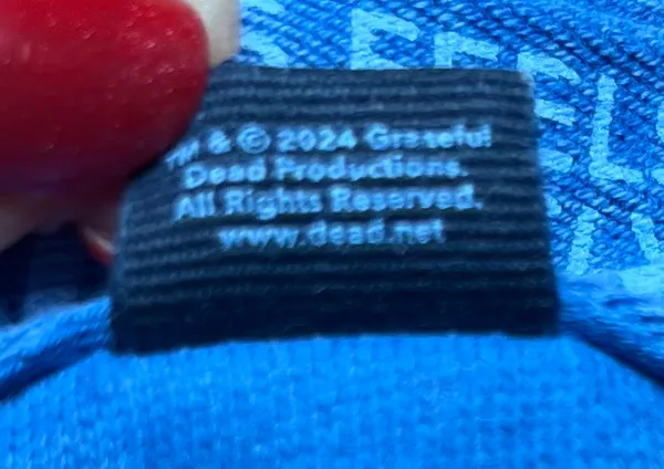 Grateful Dead American Eagle "Seriously Lived-In" Hoodie Washed Blue Women’s XS - Image 8