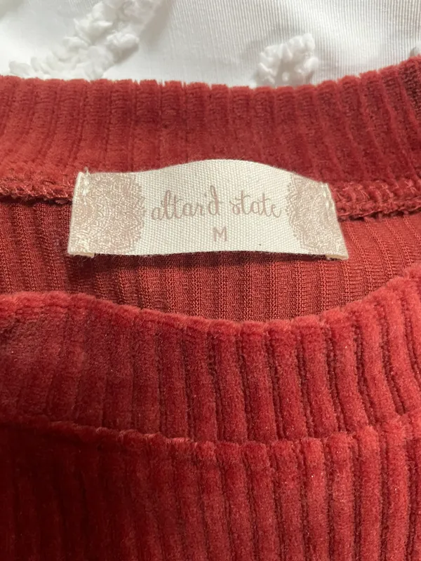 Altar'd State Velour Crop Top - Image 3