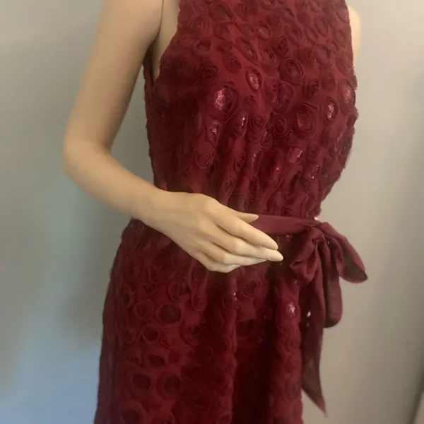 Nwt Anthropology Wine Boardx 3 -D Floral Dress Sz‎ 10 - Image 2