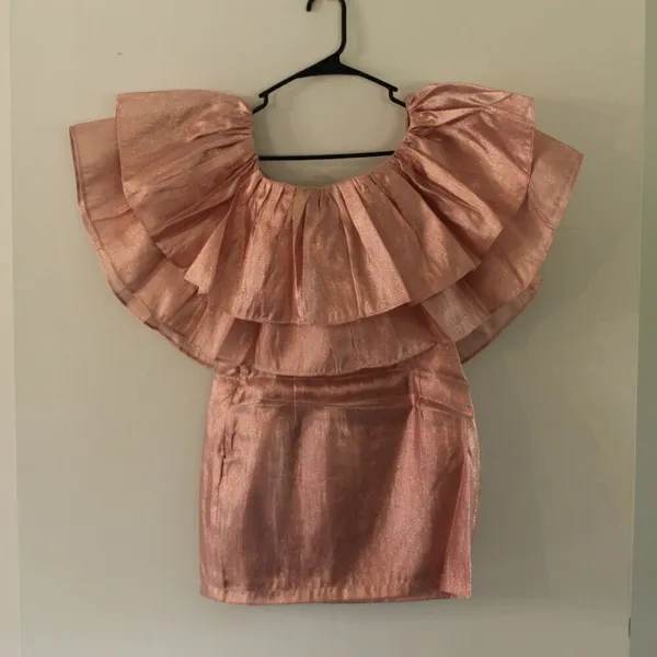 Choosy Copper Rose Organza Dress Size Small - Image 3