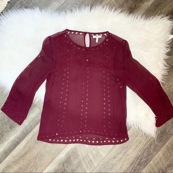 Joie Raisin Gaiane Embroidered Eyelet Blouse - Image 9