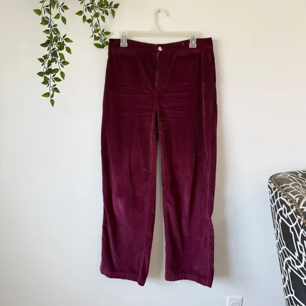 Madewell Emmett Wide Leg Corduroy Pant Sz 28/6 - Image 2