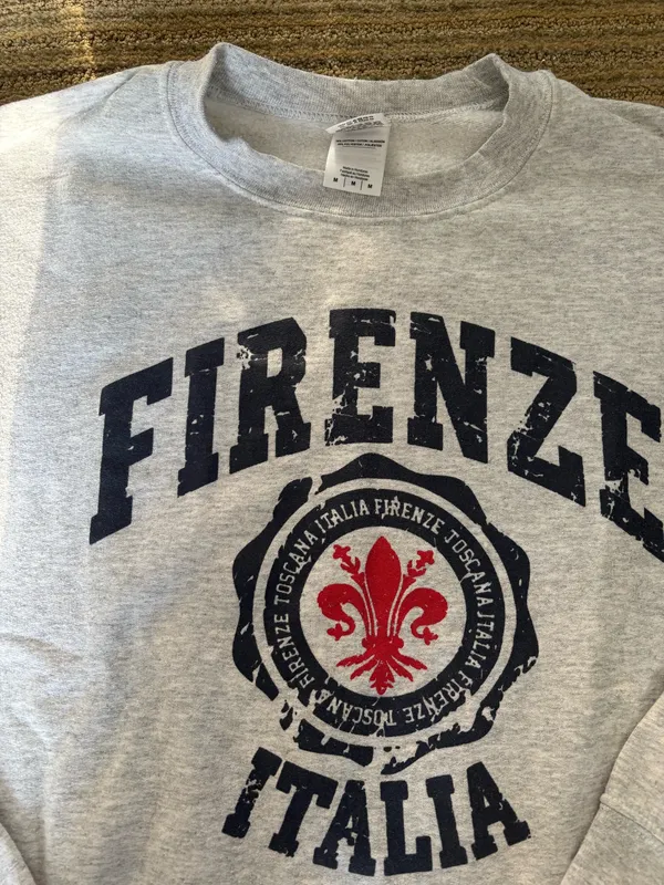 Gildan Gray Firenze Italia Crewneck Sweatshirt - Image 2