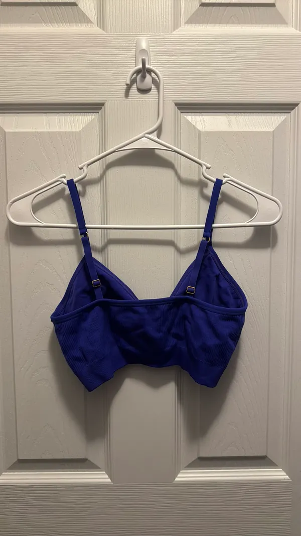 Aerie Purple-Blue Bra-Top L - Image 2