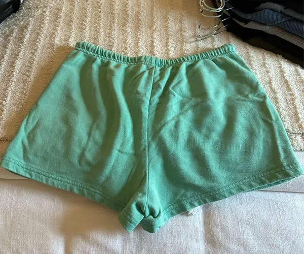 Z Supply Sweat shorts  - Image 3