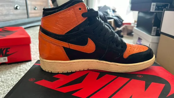 Air Jordan 1 - Image 8