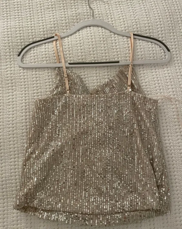 Endless Rose Sequin Camisole - Image 4